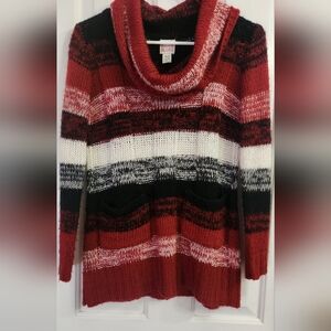 Canyon River Blues Multicolor Striped Cowl Neck Sweater